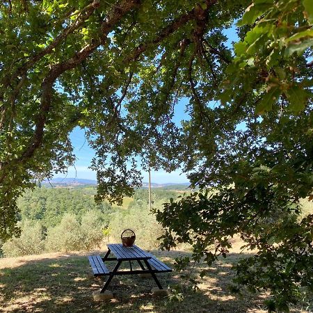La Casina Della Quercia, Your Tuscan Oak Tree House Osteria Delle Noci Dış mekan fotoğraf