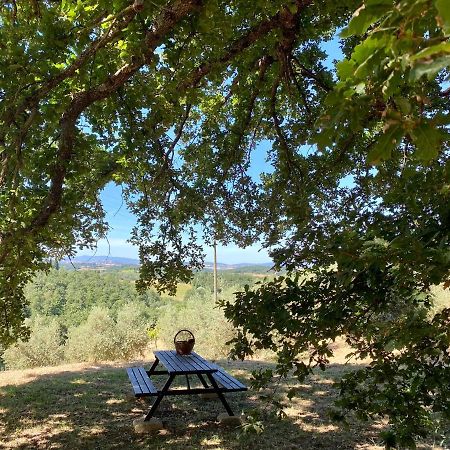 La Casina Della Quercia, Your Tuscan Oak Tree House Villa Osteria Delle Noci Dış mekan fotoğraf