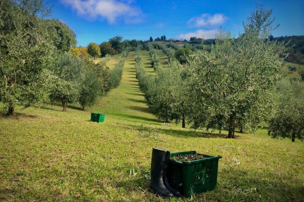 La Casina Della Quercia, Your Tuscan Oak Tree House Osteria Delle Noci Dış mekan fotoğraf