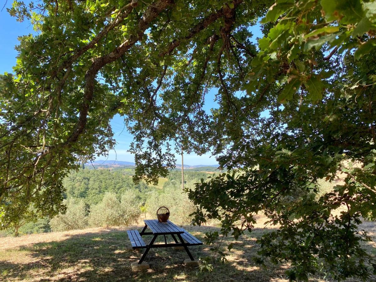 La Casina Della Quercia, Your Tuscan Oak Tree House Osteria Delle Noci Dış mekan fotoğraf